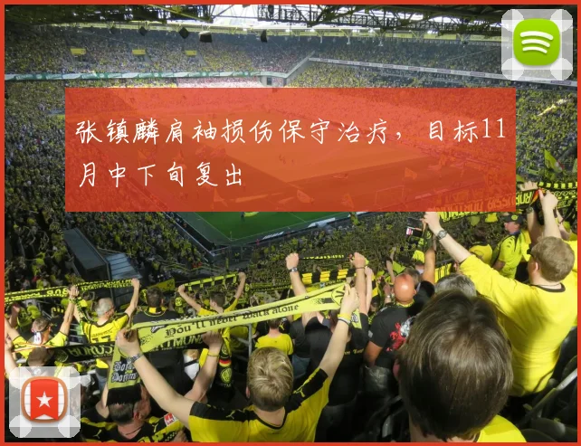 张镇麟肩袖损伤保守治疗,目标11月中下旬复出